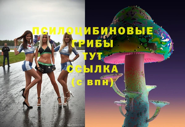 PSILOCYBIN Абаза
