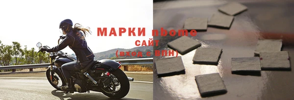 хмурый Алзамай