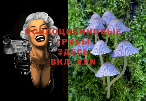 PSILOCYBIN Абаза