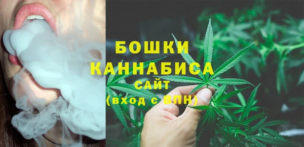 PSILOCYBIN Абаза